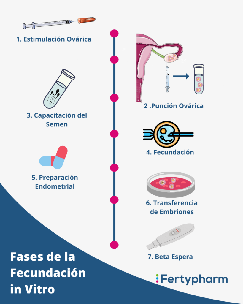 fecundacion in vitro proceso