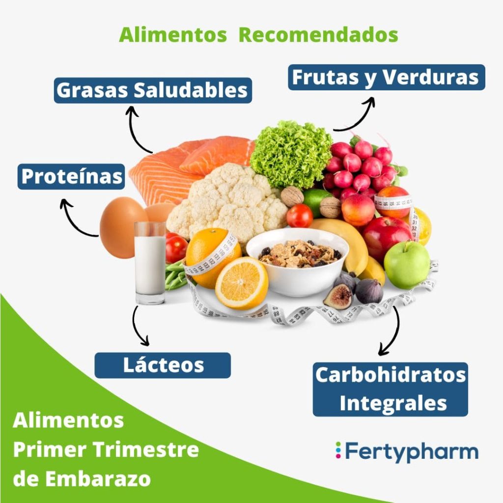 dieta primer trimestre de embarazo